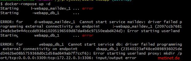 Docker Windows 10 Startup Port Error Fail